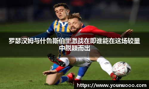 jn江南体育官方网站