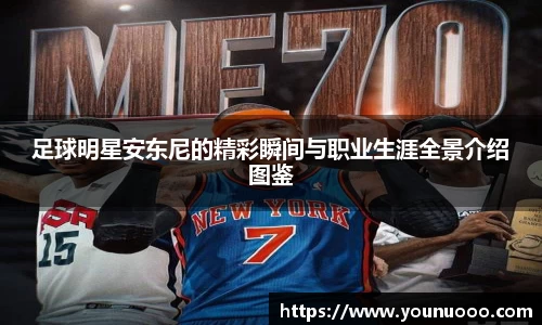 jn江南体育官网